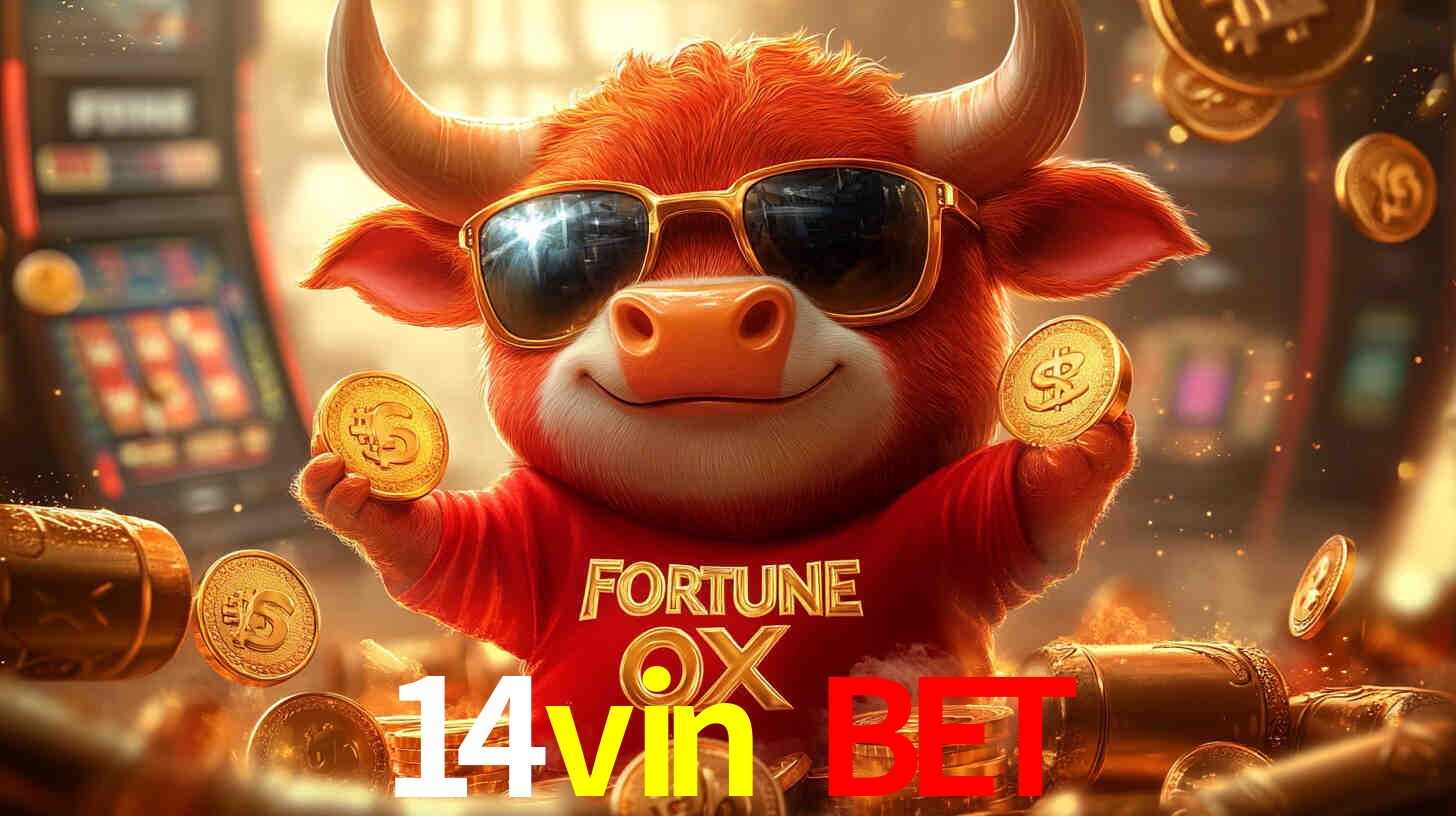 14vin bet: A Experiência de Casino com Jogos de Mesa ao Vivo