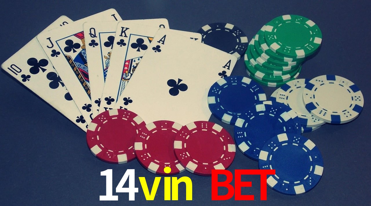 Bonus Features 14vin bet