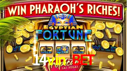 VIP Casino 14vin bet