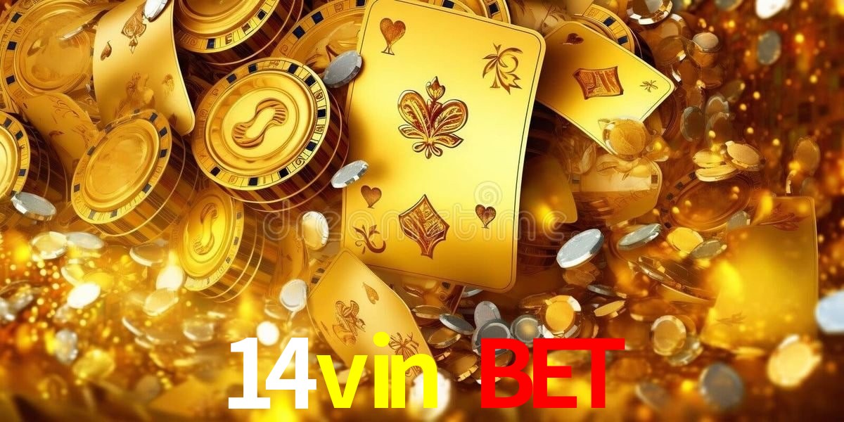 Descubra o Programa VIP da 14vin bet: Vantagens Exclusivas para Jogadores